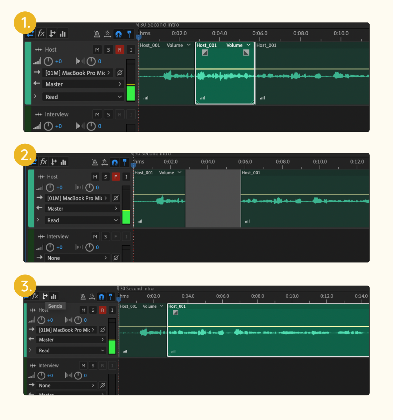 Record and Delete in Audition